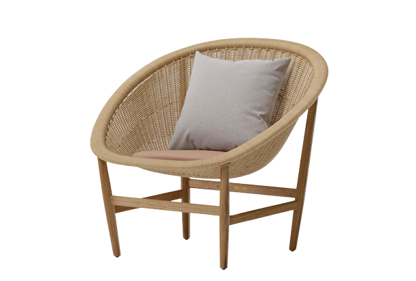 Nature Inspired Decor Items