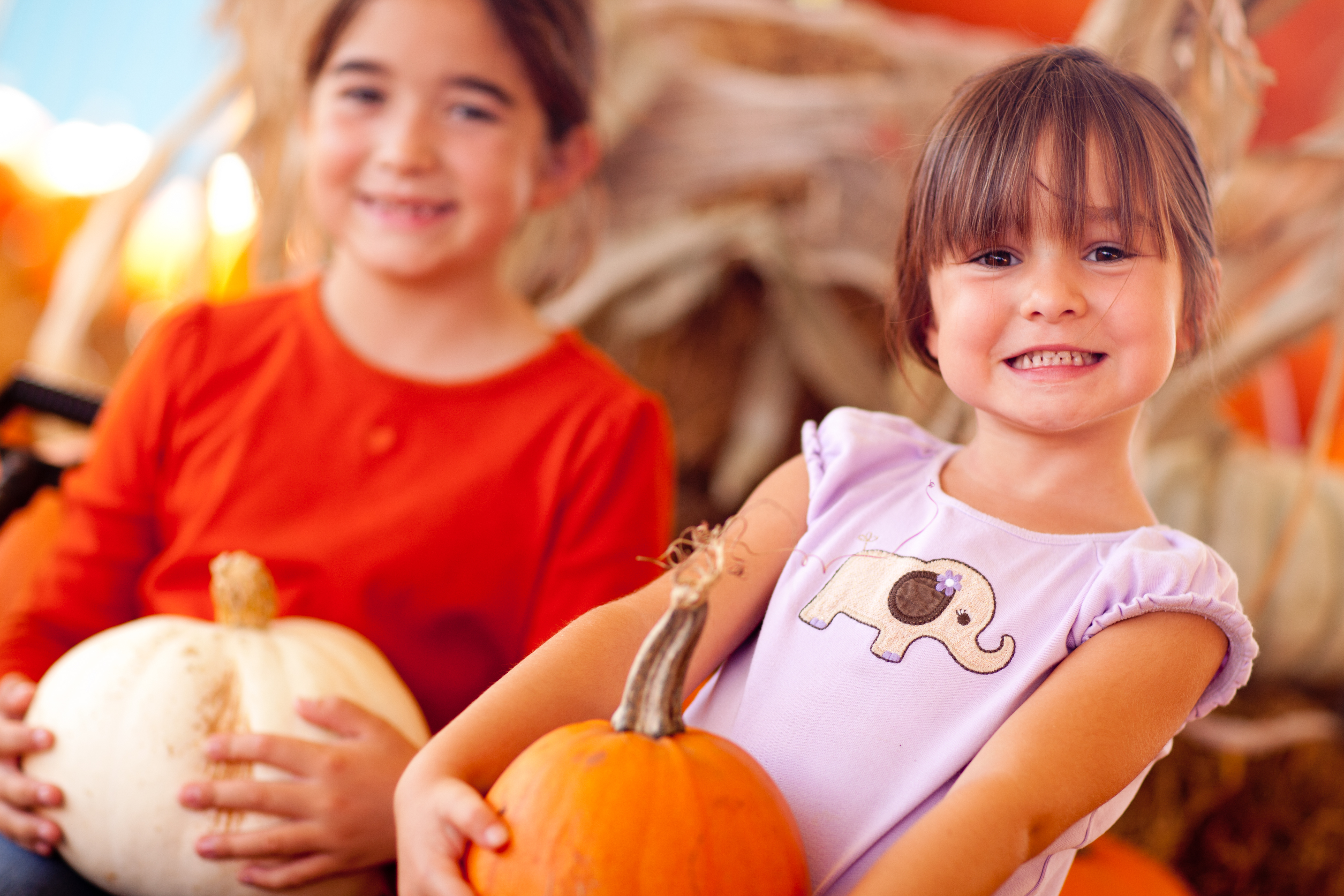 Coral Gables Pumpkin Patch Festival