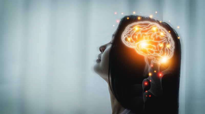 Innovation In Coral Gables