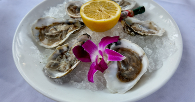Best Oyster Spots in Coral Gables 