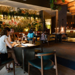 Mouthwatering Mamey: A New Menu in Coral Gables
